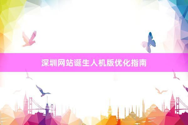 深圳网站诞生人机版优化指南