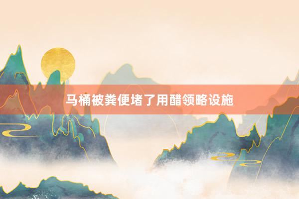 马桶被粪便堵了用醋领略设施